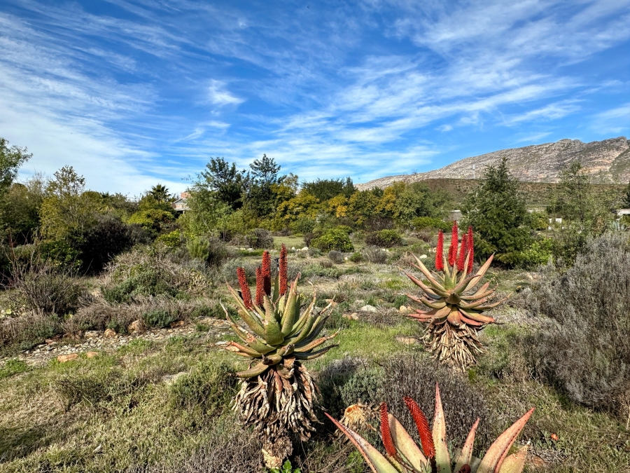 0 Bedroom Property for Sale in Barrydale Western Cape